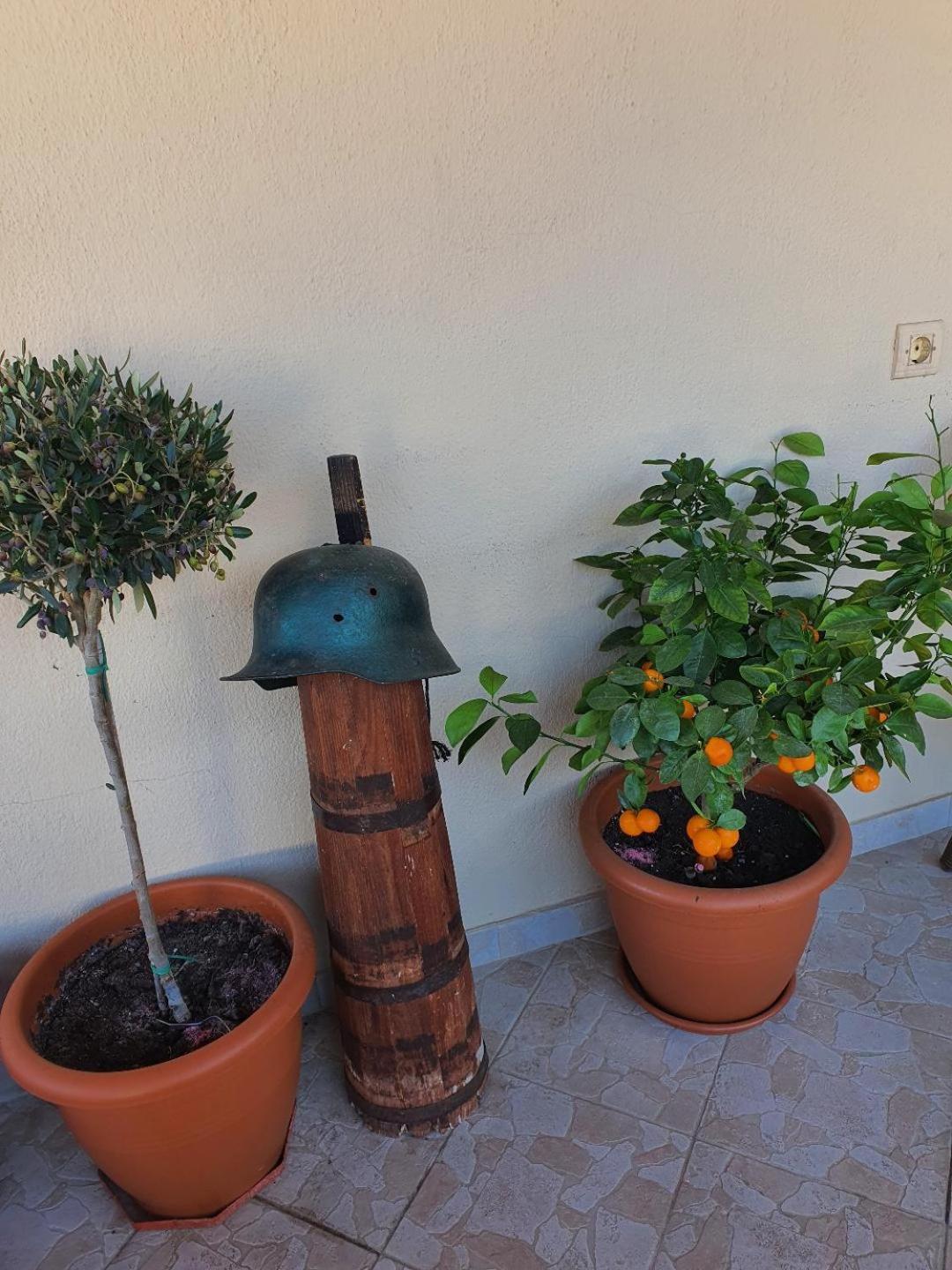 Alexandros Guesthouse Orma Exterior photo